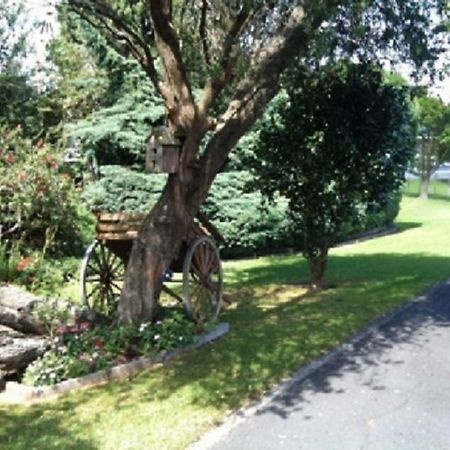 Dargaville Motel Dış mekan fotoğraf
